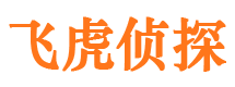 青川市侦探调查公司